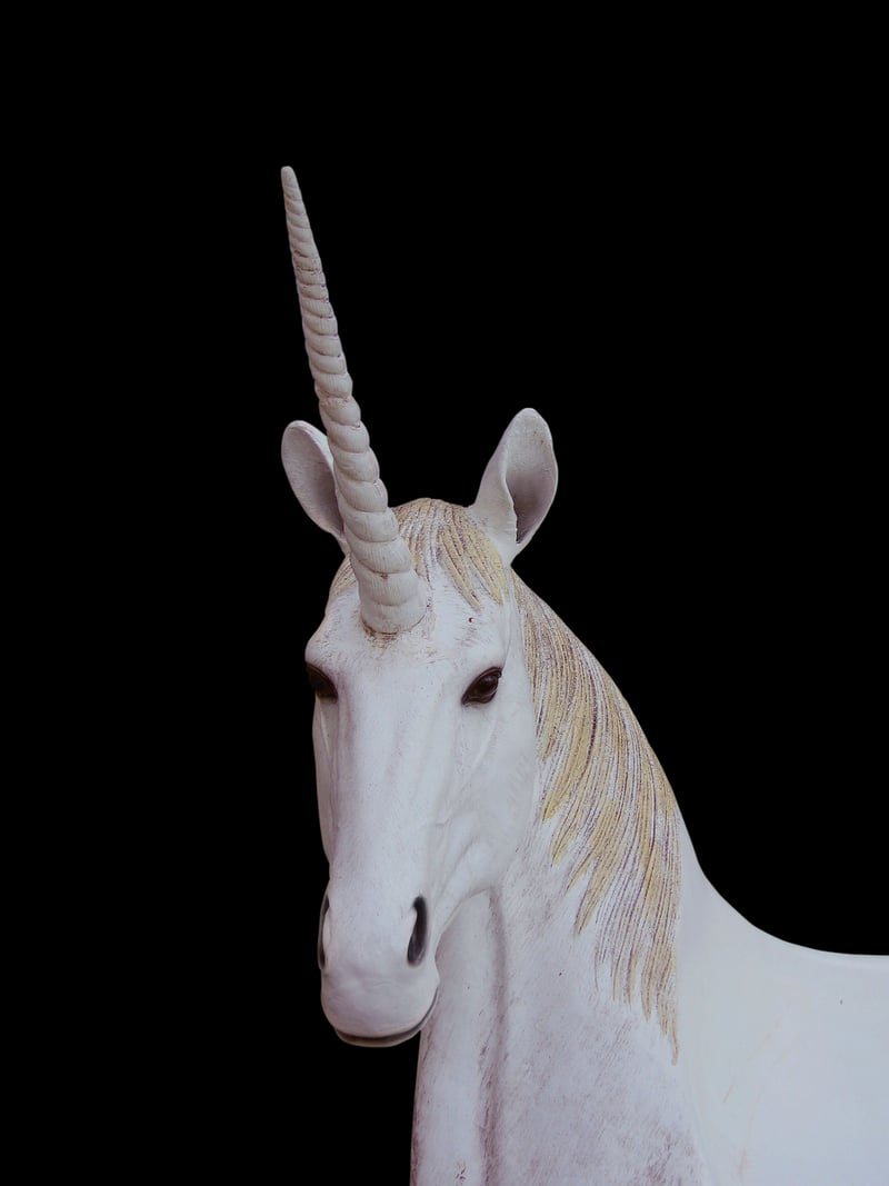 Unicorn Trail