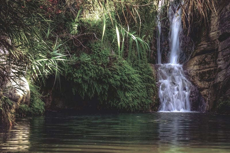 Waterfall in Garden